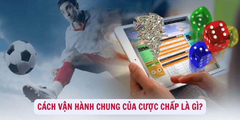 Cược chấp là gì - Giải đáp kiểu cược dẫn đầu năm 2024 2 Cách vận hành chung của cược chấp là gì?