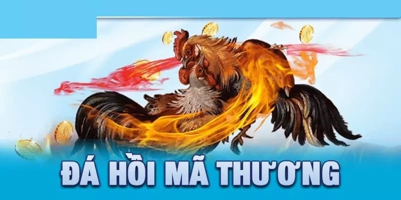 Đá Hồi Mã Thương - Lối Đá Gà Thần Thánh Với Cơ Hội Thắng Lớn 1 Hiểu đúng về lối thi đấu được nhiều chiến kê sử dụng