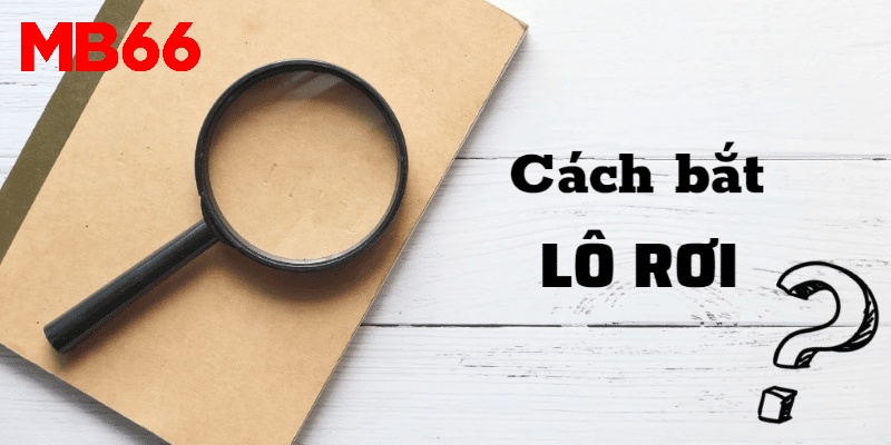Cách Bắt Lô Rơi Cơ Bản Và Chính Xác Nhất Cần Áp Dụng Để Chiến Thắng 1 Tìm hiểu về cách bắt lô rơi 2024