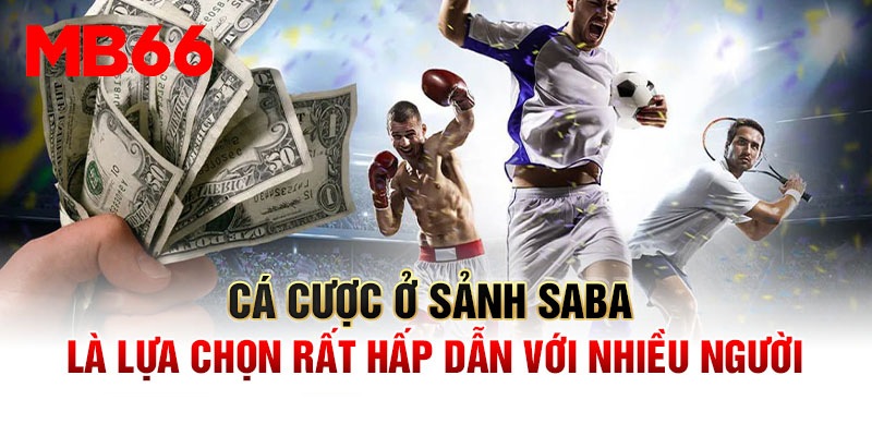 Trải Nghiệm Đặt Cược Tại Sảnh Saba Uy Tín Hàng Đầu Châu Á 1 Tổng quan về sân chơi cá cược hàng đầu sảnh Saba