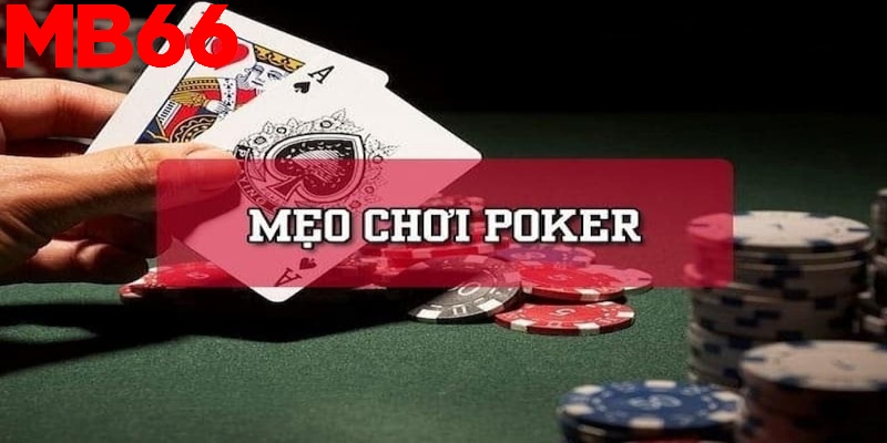 Thùng Phá Sảnh - Bộ Bài Bạc Tỷ Và Kinh Nghiệm Đánh Cần Biết 3 Nghiên cứu để tạo ra những tay bài giá trị nhất