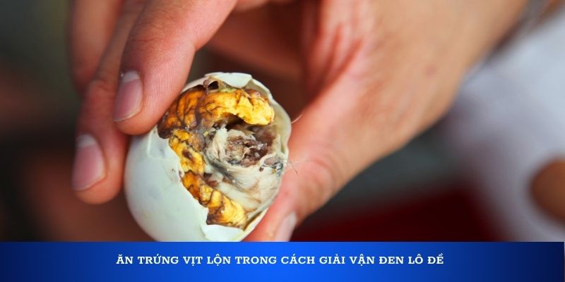 Cách giải vận đen lô đề cực chuẩn cho mọi người 5 Ăn trứng vịt lộn trong cách giải vận đen lô đề