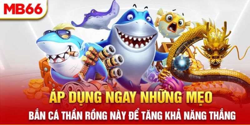 Bắn Cá Thần Rồng - Khám phá tựa game đắt khách nhất MB66 6 Mẹo chơi bắn đàn cá nhỏ mà cao thủ không muốn bạn biết