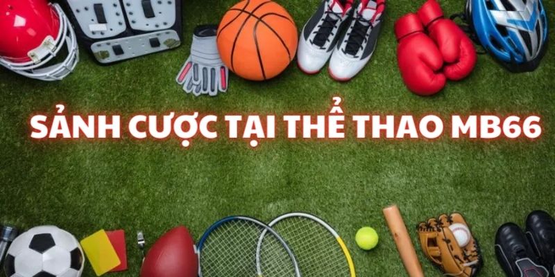 Thể thao MB66: Trải nghiệm kiếm thưởng từ các bộ môn yêu thích 2 Giới thiệu về những sảnh cược hấp dẫn có mặt tại Thể thao MB66