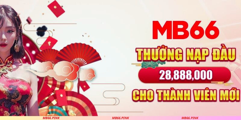 Top 10 nhà cái cá độ bóng đá uy tín - MB66