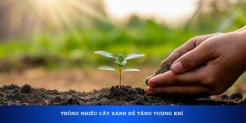 Cách giải vận đen lô đề cực chuẩn cho mọi người 3 Trồng nhiều cây xanh để tăng vượng khí