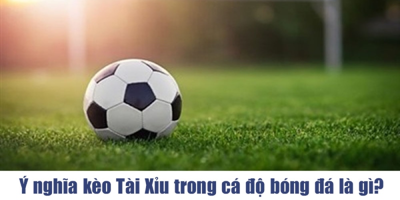 Tài Xỉu Bóng Đá - Hướng Dẫn Chi Tiết Và Bí Quyết Chiến Thắng 1 Tài xỉu bóng đá được người chơi yêu thích